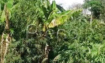 Imagem 2: Terreno à venda em Campinas, Chácara Primavera, com 1000 m²