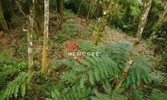Imagem 6: Lote em Rua Ibirapuera - Jardim Sumaré - Campos do Jordão/SP