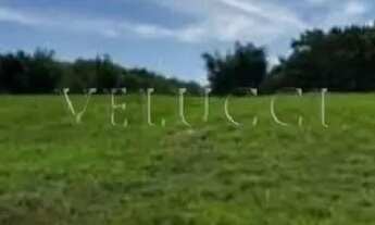 Imagem 3: Terreno comercial à venda no Swiss Park em Campinas!