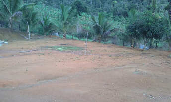 Imagem 4: Vendo excelente fazenda Presidente tranquedo Neves