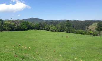 Imagem 6: Chácara com vista fantástica na Serra Gaúcha