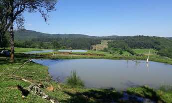 Imagem 7: Chácara com vista fantástica na Serra Gaúcha