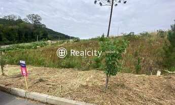 Imagem 3: BENTO GONçALVES - Terreno Padrão - Barracão