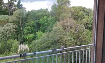 Imagem 5: SÃO GABRIEL APARTAMENTO VENDA EM COLOMBO