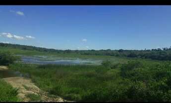 Imagem 5: Fazenda com 190 hectares no vale de monte alegre