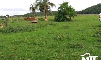 Imagem 5: Chácara 9 Alqueire (43,56 Há) Jandaia - GO