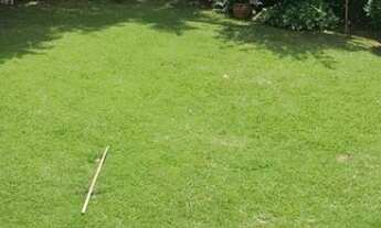 Imagem 5: SOBRADO - CIDADE JARDIM - SP