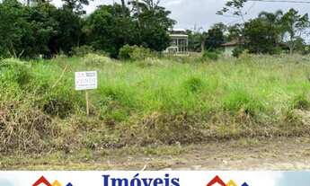 Imagem 3: Vendo lote na Praia do Ervino