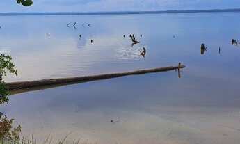 Imagem 3: Chácara beira lago