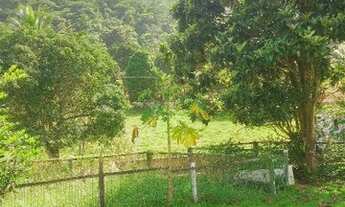 Imagem 4: Santa Leopoldina Fazenda 11 alqueires