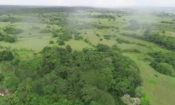 Imagem 7: Fazenda 150 hectares no Litoral Norte da Bahia! Com nascentes