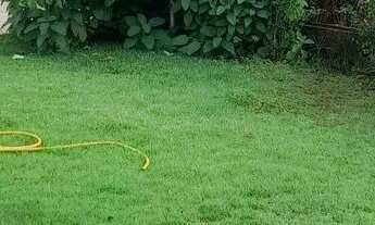 Imagem 7: Rancho pra alugar