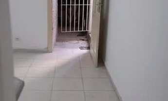 Imagem 7: EXCELENTE CASA TERREA