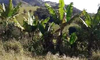 Imagem 4: Chácara em Gonçalves, Sul de Minas