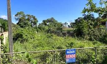 Imagem 3: Terreno em Massaranduba