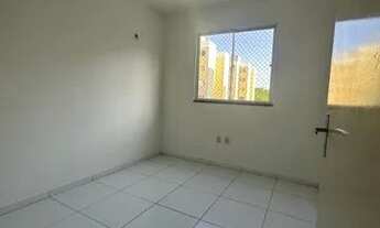 Imagem 7: Apartamento Locação - Passáre