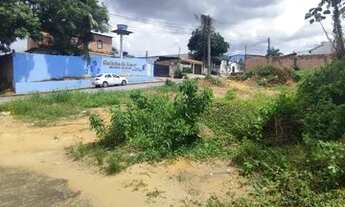 Imagem 4: Terreno no Novo Aleixo de Esquina / 13x25 próx da Natan Xavier..