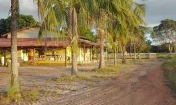 Imagem 3: Vendo fazenda 150 alqueires 97 % formada em braquiária e mambaça