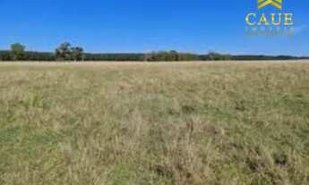 Imagem: Sítio de 7,5 hectares