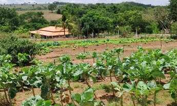 Imagem: Chácara em professor jamil