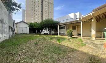 Imagem 7: Casa - Cambuí - Campinas