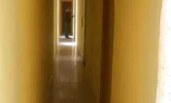 Imagem 4: Casa Alugo na Tv. José Pio px. ao Sup. Formosa