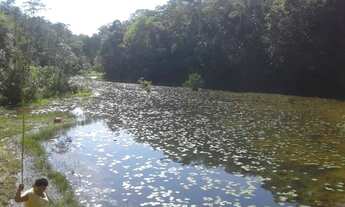 Imagem 6: Terreno na pista AM010, Km 51 com 1.000.000m2 - 860 mts de frente. 8 Fontes