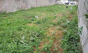 Imagem 6: Terreno todo Murado e plano