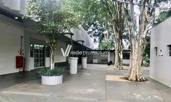 Imagem 7: Apartamento - Jardim Pacaembu - Campinas