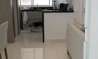 Imagem 4: Apartamento especial