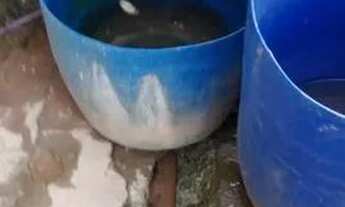 Imagem 6: São Paulo - Terreno Padrão - Cachoeirinha