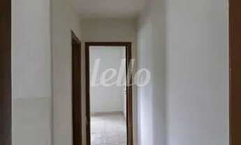 Imagem 4: São Paulo - Casa Padrão - Vila Guilherme