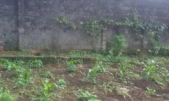 Imagem 6: Casa Casa com 2 dormitórios