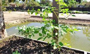 Imagem 6: CHÁCARA EM ITANHAÉM LITORAL SUL DE SÃO PAULO