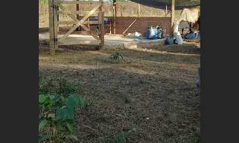 Imagem 2: Chacara Chácara com venda por R$45.000