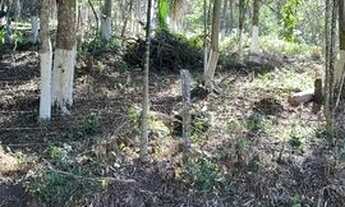 Imagem 3: Terrenos 1000 m2