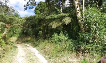 Imagem: Chácara São José dos pinhais