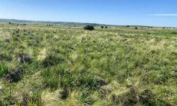 Imagem: Campo 62 hectares