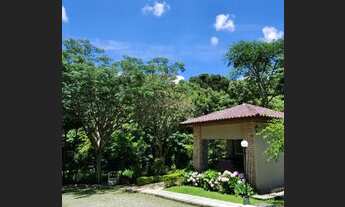 Imagem 5: Casa de condomínio Locação possui 435m² 4 quartos muita natureza