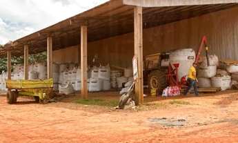 Imagem 2: Fazenda 2.900 hec em Feliz Natal MT