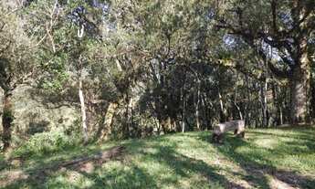 Imagem 7: Chácara 2,45 hectares à venda em Urubici-SC