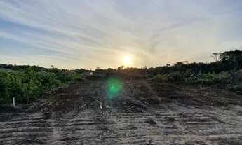 Imagem 2: Terreno Km 14 Cipoal