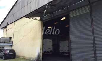 Imagem 3: São Paulo - Galpão/Depósito/Armazém - Cangaíba