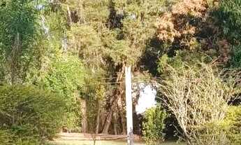 Imagem 6: Sitio raiz em Boituva, 4 alq 90% pasto