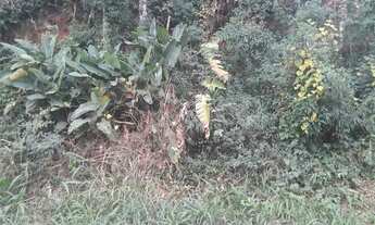 Imagem 2: Terreno à venda em Roseira - SP