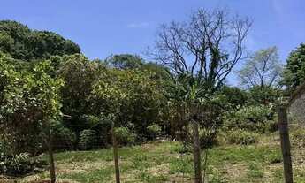 Imagem: Lote Vila Santa Rita