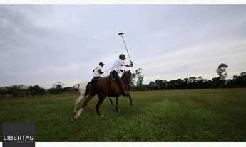 Imagem 6: Fazenda em São José