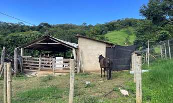 Imagem 6: Chácara 6.61 alqueires em Itapuranga