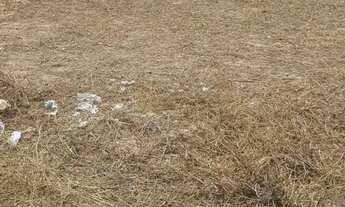 Imagem 7: Terreno condomínio Beira Mar em Milagres - Praia do Patacho