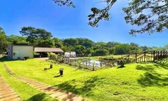 Imagem 3: Rancho com 3 dormitórios à venda, 250 m² por R$ 2.500.000,00 - Zona Rural - Rio Verde/GO